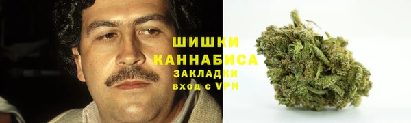 ПСИЛОЦИБИНОВЫЕ ГРИБЫ Костерёво