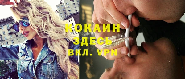 ПСИЛОЦИБИНОВЫЕ ГРИБЫ Кулебаки