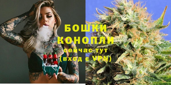 ПСИЛОЦИБИНОВЫЕ ГРИБЫ Костерёво