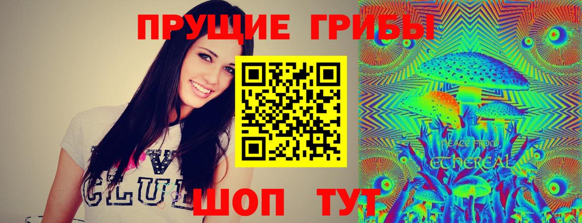 Курчалой  Галлюциногенные грибы прущие грибы  Псилоцибиновые грибы MAGIC MUSHROOMS  Вход с VPN 