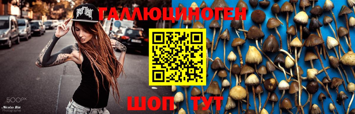 Меф кристаллы  МДМА  МЕТАМФЕТАМИН  Купить закладку  ГАШИШ  Alpha-PVP СК кристаллы  Курчалой  COCAIN 