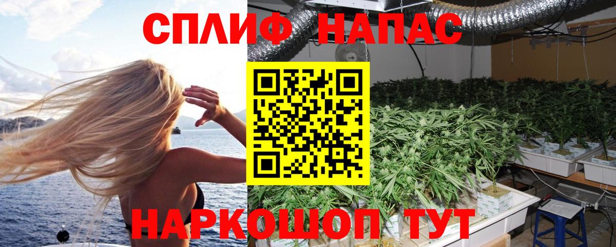 Бошки Шишки конопля  Каннабис Amnesia  Шишки марихуана ГИДРОПОН  Курчалой 